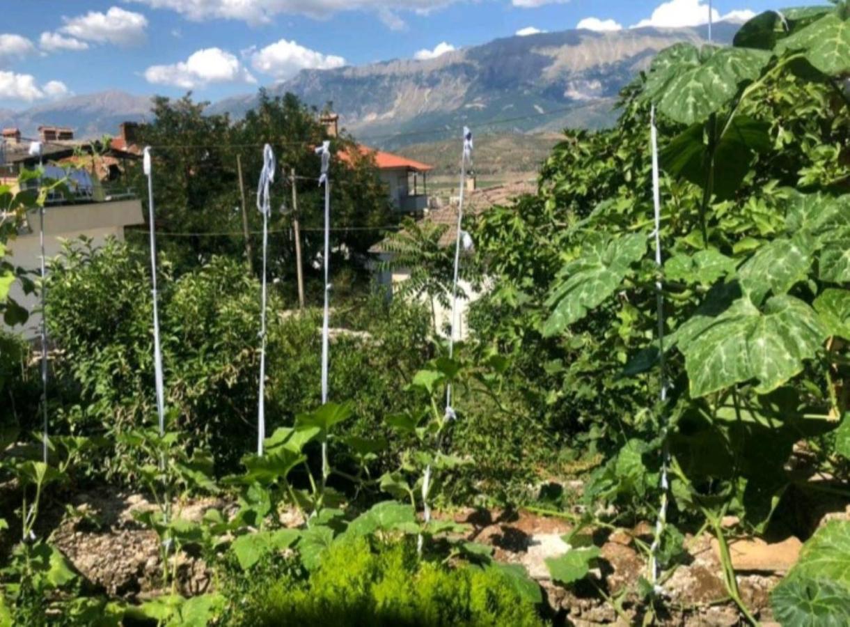 Miziriguesthouse Gjirokastër Exteriör bild